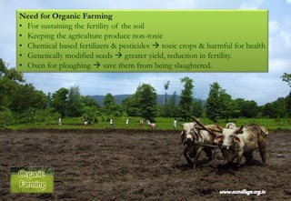 Need for Organic Farming
• For sustaining the fertility of the soil
• Keeping the agriculture produce non-toxic
• Chemical based fertilizers & pesticides  toxic crops & harmful for health
• Genetically modified seeds  greater yield, reduction in fertility.
• Oxen for ploughing  save them from being slaughtered.
 