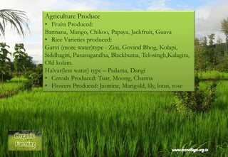 Agriculture Produce
• Fruits Produced:
Bannana, Mango, Chikoo, Papaya, Jackfruit, Guava
• Rice Varieties produced:
Garvi (more water)type - Zini, Govind Bhog, Kolapi,
Siddhagiri, Pusasugandha, Blackbuma, Telosingh,Kalagira,
Old kolam.
Halvar(less water) type – Padama, Dangi
• Cereals Produced: Tuar, Moong, Channa
• Flowers Produced: Jasmine, Marigold, lily, lotus, rose
 