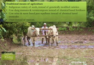 Traditional means of agriculture
• Indigenous variety of seeds, instead of genetically modified varieties.
• Cow dung manures & vermicomposts instead of chemical based fertilizers
• Cow urine & neem based pest repellants instead of chemical based
pesticides
• Oxen instead of tractors.
 