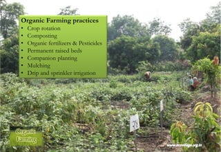 Organic Farming practices
• Crop rotation
• Composting
• Organic fertilizers & Pesticides
• Permanent raised beds
• Companion planting
• Mulching
• Drip and sprinkler irrigation
 