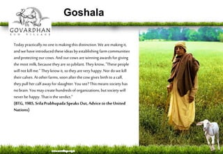 Goshala
Today practicallyno one is making thisdistinction.We aremaking it,
andwe haveintroduced theseideas by establishingfarm communities
andprotecting our cows. And ourcows arewinningawardsfor giving
themost milk, because theyare so jubilant.Theyknow, "Thesepeople
willnotkill me." They knowit, so theyareveryhappy. Nor do we kill
theircalves. Atotherfarms, soon afterthecow gives birthto acalf,
theypull hercalf awayfor slaughter.You see? This means society has
no brain.You may createhundredsof organizations,butsociety will
never be happy. Thatis theverdict.”
(BTG, 1985, SrilaPrabhupada Speaks Out, Advice to the United
Nations)
 