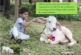 • Milk from the cows meets the daily
requirement of milk for the community.
• Cow dung used for Biogas plant, manure
& cottage industry
 