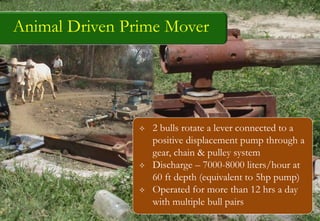 Animal Driven Prime Mover
 2 bulls rotate a lever connected to a
positive displacement pump through a
gear, chain & pulley system
 Discharge – 7000-8000 liters/hour at
60 ft depth (equivalent to 5hp pump)
 Operated for more than 12 hrs a day
with multiple bull pairs
 