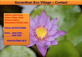 Govardhan Eco Village – Contact
Address: Guhir Road,
Galtare Village, Wada
(Taluka), Palghar,
Maharashtra 421303, India
Phone: +91 91672 04666
Hours: Open Daily ·
8AM–6PM
www.ecovillage.org.in
 
