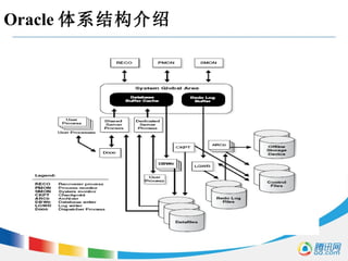Oracle 体系结构介绍 