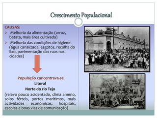 Crescimento Populacional 
CAUSAS: 
 Melhoria da alimentação (arroz, 
batata, mais área cultivada) 
 Melhoria das condições de higiene 
(água canalizada, esgotos, recolha do 
lixo, pavimentação das ruas nas 
cidades) 
População concentrava-se 
Litoral 
Norte do rio Tejo 
(relevo pouco acidentado, clima ameno, 
solos férteis, portos marítimos, mais 
actividades económicas, hospitais, 
escolas e boas vias de comunicação) 
 