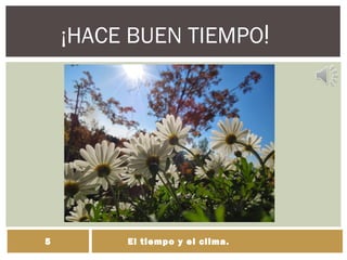 ¡HACE BUEN TIEMPO!
El tiempo y el clima.5
 