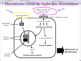Mecanismo Geral de Ação dos Hormônios
 