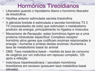 Hormônios Tireoidianos
Liberados quando o hipotálamo libera o hormônio liberador
de tireotrofina;
Hipófise anterior estimulada secreta tireotrofina
A glândula tireóide é estimulada e secreta hormônios T3 3
T4 (necessidades de iodo) que estimulam o metabolismo
produtor de energia, principalmente no fígados e músculos
Mecanismo de Recepção: estes hormônios ligam-se a uma
proteína intracelular específica Complexo receptor
hormônio ativa genes que codificam enzimas relacionadas à
energia  Aumenta a síntese destas enzimas Aumenta a
taxa de metabolismo basal do animal
OBS: Taxa metabólica basal – medida da taxa de consumo
de oxigênio por um indivíduo em repouso completo, 12h
após a refeição
Indivíduos hipertireoidinaos  secretam hormônios
tireoidianos em excesso (possuem taxa metabólica basal
elevada).
 