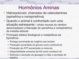 Hormônios Aminas
Hidrossolúveis: chamados de catecolaminas
(epinefrina e noriepinefrina)
Quando o animal é confrontado com uma
situação estressante  sinais neurais do cérebro
desencadeiam a liberação de epinefrina e noriepinefrina
da medula adrenal
Prinicipais efeitos fisiológicos e metabólicos da
Epinefrina:
  Entrega aumentada de oxigênio aos tecidos
  Produção aumentada de glicose como combustível
  Produção de ATP aumentada no músculo
  Disponibilidade aumenta de AG como combsut´vel
  Estimula a secreção do glucagon e inibe a secreção de
  insulina
 