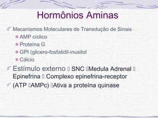 Hormônios Aminas
Mecanismos Moleculares de Transdução de Sinais
  AMP cíclico
  Proteína G
  GPI (glicero-fosfatidil-inusitol
  Cálcio
Estímulo externo  SNC Medula Adrenal 
Epinefrina  Complexo epinefrina-receptor
(ATP AMPc) Ativa a proteína quinase
 