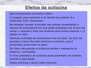Efeitos da ocitocina
Age principalmete na mama e útero.
O receptor para ocitocina é da família da proteina G e
estimulam Ca2+ intracelular.
Na lactação causam contração das células mioepiteliais e
células da musculatura lisa que estão presentes nos ductos da
mama ⇒ expulsa o leite dos alvéolos para ductos maiores ⇒ a
ejeção do leite.
Estimula contração da musculatura lisa do útero. No final da
gravidez o útero fica bem sensível à ocitocina, que á
aumentada ainda mais no parto.
Em útero não grávido a ocitocina facilita o transporte do
esperma. (contração).
O nível plasmático de ocitocina está aumentado em homens
durante a ejaculação .
Stress estimula e alcool inibe ocitocina.
 