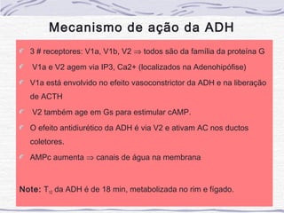 Mecanismo de ação da ADH
  3 # receptores: V1a, V1b, V2 ⇒ todos são da família da proteína G
   V1a e V2 agem via IP3, Ca2+ (localizados na Adenohipófise)
  V1a está envolvido no efeito vasoconstrictor da ADH e na liberação
  de ACTH
   V2 também age em Gs para estimular cAMP.
  O efeito antidiurético da ADH é via V2 e ativam AC nos ductos
  coletores.
  AMPc aumenta ⇒ canais de água na membrana



Note: T1/2 da ADH é de 18 min, metabolizada no rim e fígado.
 