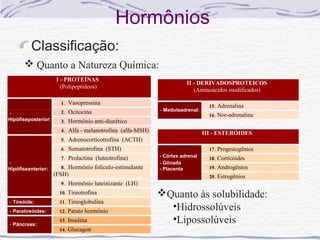 -
                                                               Hipófiseanterior:     8. Hormônio folículo-estimulante


                                                Hormônios
                                                                                   (FSH)
                                                                                     9.    Hormônio luteinizante (LH)
                                                                                     10.   Tireotrofina
                                                               - Tireóide:           11.   Tireoglobulina
         Classificação:                                        - Paratireóides:      12.   Parato hormônio
                                                                                     13.   Insulina
                                                               - Pâncreas:
       Quanto a Natureza Química:                                                   14.   Glucagon

                      I - PROTEÍNAS
                                                                             II - DERIVADOSPROTEICOS
                        (Polipeptídeos)
                                                                                (Aminoácidos modificados)

                       1.    Vasopressina
                                                                                     15.   Adrenalina
                       2.    Ocitocina                         - Medulaadrenal:
-                                                                                    16.   Nor-adrenalina
Hipófiseposterior:     3.    Hormônio anti-diurético
                       4.    Alfa - melanotrofina (alfa-MSH)                       III - ESTERÓIDES
                       5.    Adrenocorticotrofina (ACTH)
                       6.    Somatotrofina (STH)                                     17.   Progestogênios
                       7.    Prolactina (luteotrofina)         - Córtex adrenal
                                                                                     18.   Corticóides
-                                                              - Gônada
Hipófiseanterior:      8. Hormônio folículo-estimulante        - Placenta            19.   Androgênios
                     (FSH)                                                           20.   Estrogênios
                       9.    Hormônio luteinizante (LH)
                       10.   Tireotrofina                      Quanto às solubilidade:
- Tireóide:            11.   Tireoglobulina
- Paratireóides:       12.   Parato hormônio
                                                                 •Hidrossolúveis
- Pâncreas:
                       13.   Insulina                            •Lipossolúveis
                       14.   Glucagon
 