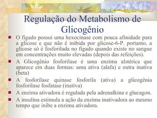 Regulação do Metabolismo de Glicogênio O fígado possui uma hexocinase com pouca afinidade para a glicose e que não é inibida por glicose-6-P. portanto, a glicose só é fosforilada no fígado quando existe no sangue em concentrações muito elevadas (depois das refeições). A Glicogênio fosforilase é uma enzima alstérica que aparece em duas formas: uma ativa (alafa) e outra inativa (beta) A fosforilase quinase fosforila (ativa) a glicogênia fosforilase fosfatase (inativa) A enzima ativadora é regulada pela adrenalkina e glucagon. A insulina estimula a ação da enzima inativadora ao mesmo tempo que inibe a enzima ativadora. 