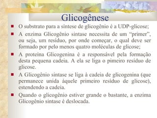 O substrato para a síntese de glicogênio é a UDP-glicose; A enzima Glicogênio sintase necessita de um “primer”, ou seja, um resíduo, por onde começar, o qual deve ser formado por pelo menos quatro moléculas de glicose; A proteína Glicogenina é a responsável pela formação desta pequena cadeia. A ela se liga o pimeiro resíduo de glicose. A Glicogênio sintase se liga à cadeia de glicogenina (que permanece unida àquele primeiro resíduo de glicose), estendendo a cadeia. Quando o glicogênio estiver grande o bastante, a enzima Glicogênio sintase é deslocada. Glicogênese 