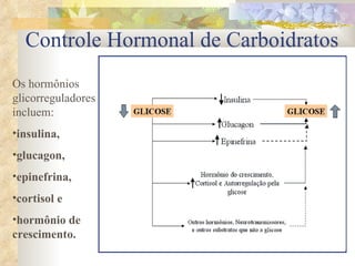 Controle Hormonal de Carboidratos Os hormônios glicorreguladores incluem:  insulina,  glucagon,  epinefrina,  cortisol e  hormônio de crescimento.  