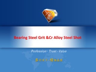 Bearing Steel Grit &Cr Alloy Steel Shot
 