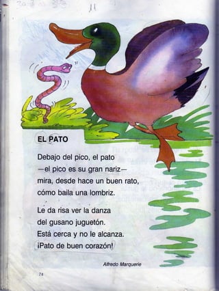 i(
))
4
/((
--
..*
@ro
Debajo del pico, el pato
-el prco es su gran naflz-
mira, desde hace un buen rato,
cómo baila una lombriz.
Le da risa ver la danza
del gusano juguetón.
Está.cerca y no le alcanza.
;lPato de buen corazónp
74
Alfuo Marquer¡e
 
