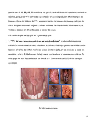 10
genital son: 6, 11, 16 y 18. El análisis de los genotipos de VPH resulta importante, entre otras
razones, porque los VPH son tejido específicos y en general producen diferentes tipos de
lesiones. Cerca de 35 tipos de VPH son responsables de lesiones benignas y malignas del
tracto ano genital tanto en mujeres como en hombres. De mismo modo, 15 de estos tipos
virales se asocian en diferente grado al cáncer de cérvix.
Los distintos tipos se agrupan en 2 grandes grupos:
 1. "VPH de bajo riesgo oncogénico o variedades clínicas": producen la infección de
trasmisión sexual conocida como condiloma acuminado o verruga genital, las cuales forman
lesiones en forma de coliflor, racimo de uvas o cresta de gallo, en las zonas de la boca, los
genitales y el ano. Estás lesiones de bajo grado que tienden a la regresión espontánea. En
este grupo los más frecuentes son los tipos 6 y 11 (causan más del 90% de las verrugas
genitales).
Condiloma acuminado.
 