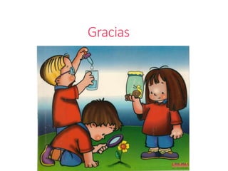 Gracias
 
