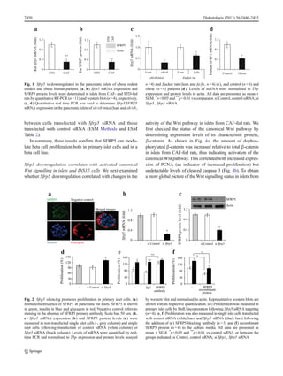 between cells transfected with Sfrp5 siRNA and those
transfected with control siRNA (ESM Methods and ESM
Table 2).
In summary, these results confirm that SFRP5 can modu-
late beta cell proliferation both in primary islet cells and in a
beta cell line.
Sfrp5 downregulation correlates with activated canonical
Wnt signalling in islets and INS1E cells We next examined
whether Sfrp5 downregulation correlated with changes in the
activity of the Wnt pathway in islets from CAF-fed rats. We
first checked the status of the canonical Wnt pathway by
determining expression levels of its characteristic protein,
β-catenin. As shown in Fig. 4a, the amount of dephos-
phorylated β-catenin was increased relative to total β-catenin
in islets from CAF-fed rats, thus indicating activation of the
canonical Wnt pathway. This correlated with increased expres-
sion of PCNA (an indicator of increased proliferation) but
undetectable levels of cleaved caspase 3 (Fig. 4b). To obtain
a more global picture of the Wnt signalling status in islets from
ba
RatSfrp5mRNA(fold)
**
1.2
0.8
0.4
0
d
HumanSFRP5mRNA(fold)
1.2
0.8
0.4
0
*
c
RatSFRP5protein(fold)
1.2
0.8
0.4
0
Sfrp5mRNA(fold)
*
1.5
1.0
0.5
0
*
STD CAF STD CAF Lean ob/ob Lean fa/fa Control Obese
SFRP5
STD
CAF
Actin
**
ob/ob mice Zucker rat
Fig. 1 Sfrp5 is downregulated in the pancreatic islets of obese rodent
models and obese human patients. (a, b) Sfrp5 mRNA expression and
SFRP5 protein levels were determined in islets from CAF- and STD-fed
rats by quantitative RT-PCR (n =11) and western blot (n =4), respectively.
(c, d) Quantitative real time PCR was used to determine Sfrp5/SFRP5
mRNA expression in the pancreatic islets of ob/ob mice (lean and ob/ob,
n =4) and Zucker rats (lean and fa/fa, n =4) (c), and control (n =6) and
obese (n =4) patients (d). Levels of mRNA were normalised to Tbp
expression and protein levels to actin. All data are presented as mean ±
SEM. *
p<0.05 and **
p<0.01 vs comparator. si Control, control siRNA; si
Sfrp5, Sfrp5 siRNA
Proliferation(%)
-
b
d
150
120
90
60
0
*
*0.4
0.8
1.2
0
c
fe
0
40
80
120
160
-
antibody
Proliferation(%)
0
40
80
120
160
-
recombinant
protein
Proliferation(%)
*
*
*
*
**
* **
SFRP5proteinlevel(fold)
0.4
0.8
1.2
0
30
*
si Control si Sfrp5 - si Control si Sfrp5
Sfrp5mRNA(fold)
- si Control si Sfrp5 IgG SFRP5 SFRP5
SFRP5
Insulin Glucagon
50 µ m50 µ m
50 µ m50 µ m50 µ m
Negative control
a
Actin
SFRP5
Merged images
Fig. 2 Sfrp5 silencing promotes proliferation in primary islet cells. (a)
Immunofluorescence of SFRP5 in pancreatic rat islets. SFRP5 is shown
in green, insulin in blue and glucagon in red. Negative control refers to
staining in the absence of SFRP5 primary antibody. Scale bar, 50 μm. (b,
c) Sfrp5 mRNA expression (b) and SFRP5 protein levels (c) were
measured in non-transfected single islet cells (-, grey column) and single
islet cells following transfection of control siRNA (white column) or
Sfrp5 siRNA (black column). Levels of mRNA were quantified by real-
time PCR and normalised to Tbp expression and protein levels assayed
by western blot and normalised to actin. Representative western blots are
shown with its respective quantification. (d) Proliferation was measured in
primary islet cells by BrdU incorporation following Sfrp5 siRNA targeting
(n =4). (e, f) Proliferation was also measured in single islet cells transfected
with control siRNA (white bars) and Sfrp5 siRNA (black bars) following
the addition of (e) SFRP5-blocking antibody (n =3) and (f) recombinant
SFRP5 protein (n =4) to the culture media. All data are presented as
mean ± SEM. *
p<0.05 and **
p<0.01 vs control siRNA or between the
groups indicated. si Control, control siRNA; si Sfrp5, Sfrp5 siRNA
2450 Diabetologia (2013) 56:2446–2455
 