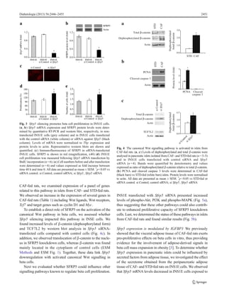 CAF-fed rats, we examined expression of a panel of genes
related to this pathway in islets from CAF- and STD-fed rats.
We observed an increase in the expression of several genes in
CAF-fed rats (Table 1) including Wnt ligands, Wnt receptors,
Tcf7 and target genes such as cyclin D1 and Myc.
To establish a direct role of SFRP5 on the activation of the
canonical Wnt pathway in beta cells, we assessed whether
Sfrp5 silencing impacted this pathway in INSE cells. We
found increased levels of β-catenin (dephosphorylated form)
and TCF7L2 by western blot analysis in Sfrp5 siRNA-
transfected cells compared with control cells (Fig. 4c). In
addition, we observed translocation of β-catenin to the nucle-
us in SFRP5 knockdown cells, whereas β-catenin was found
mainly located in the cytoplasm of control cells (ESM
Methods and ESM Fig. 1). Together, these data link Sfrp5
downregulation with activated canonical Wnt signalling in
beta cells.
Next we evaluated whether SFRP5 could influence other
signalling pathways known to regulate beta cell proliferation.
INS1E transfected with Sfrp5 siRNA presented increased
levels of phospho-Akt, PI3K and phospho-MAPK (Fig. 5a),
thus suggesting that these other pathways could also contrib-
ute to enhanced proliferative capacity of SFRP5 knockdown
cells. Last, we determined the status of these pathways in islets
from CAF-fed rats and found similar results (Fig. 5b).
Sfrp5 expression is modulated by IGFBP3 We previously
showed that the visceral adipose tissue of CAF-fed rats exerts
pro-proliferative effects on beta cells in vitro, thus providing
evidence for the involvement of adipose-derived signals in
beta cell mass expansion in obesity [3]. To determine whether
Sfrp5 expression in pancreatic islets could be influenced by
secreted factors from adipose tissue, we investigated the effect
of the secretome obtained from the peripancreatic adipose
tissue of CAF- and STD-fed rats on INS1E cells. We observed
that Sfrp5 mRNA levels decreased in INS1E cells exposed to
Sfrp5mRNA(fold)
a
INS1E
-
INS1E
si Sfrp5
INS1E
si Control
0.0
0.4
0.8
1.2
SFRP5proteinlevel(fold)
Actin
SFRP5
b
0.0
0.4
0.8
1.2
INS1E
-
INS1E
si Sfrp5
INS1E
si Control
e
c si Sfrp5si Control
Proliferation(%)
d
INS1E
-
INS1E
si Sfrp5
INS1E
si Control
60
90
120
150
180
0
30
*
*
* *
Numberofcells(fold)
INS1E
-
INS1E
si Sfrp5
INS1E
si Control
0.0
0.5
1.0
1.5
2.0
2.5
Fig. 3 Sfrp5 silencing promotes beta cell proliferation in INS1E cells.
(a, b) Sfrp5 mRNA expression and SFRP5 protein levels were deter-
mined by quantitative RT-PCR and western blot, respectively, in non-
transfected INS1E cells (grey column) and in INS1E cells transfected
with the control siRNA (white column) or siRNA against Sfrp5 (black
column). Levels of mRNA were normalised to Tbp expression and
protein levels to actin. Representative western blots are shown and
quantified. (c) Immunofluorescence of SFRP5 in siRNA-transfected
INS1E cells. SFRP5 is shown in red (magnification, x40) (d) INS1E
cell proliferation was measured following Sfrp5 siRNA transfection by
BrdU incorporation (n =6). (e) Cell numbers before and after transfection
were determined (n =4) and values expressed as fold increase between
time 48 h and time 0. All data are presented as mean ± SEM. *
p<0.05 vs
siRNA control. si Control, control siRNA; si Sfrp5, Sfrp5 siRNA
STD
CAF
0
1
2
3
PCNA
Proteinlevel(fold)
caspase 3
*
Cleaved
Total β-catenin
Actin
0.0
1.0
2.0
3.0
STD CAF
Dephosphorylated
/totalβ-catenin
a
b
*
c
0.0
1.5
3.0
4.5
siControl
siSfrp5
Dephosphorylated β-catenin
Actin
Total β-catenin
siControlsiSfrp5
*
STD
CAF
Cleaved caspase 3
Actin
PCNA
TCF7L2
Actin
*
Dephosphorylated β-catenin
Dephosphorylated
/totalβ-catenin
Fig. 4 The canonical Wnt signalling pathway is activated in islets from
CAF-fed rats. (a, c) Levels of dephosphorylated and total β-catenin were
analysed in pancreatic islets isolated from CAF- and STD-fed rats (n =3–5)
and in INS1E cells transfected with control siRNA and Sfrp5
siRNA (n =4). Bands were quantified by densitometry and values
expressed as ratio of dephosphorylated β-catenin relative to total β-catenin.
(b) PCNA and cleaved caspase 3 levels were determined in CAF-fed
(black bars) vs STD-fed (white bars) islets. Protein levels were normalised
to actin. All data are presented as mean ± SEM. *
p <0.05 vs STD-fed or
siRNA control. si Control, control siRNA; si Sfrp5, Sfrp5 siRNA
Diabetologia (2013) 56:2446–2455 2451
 