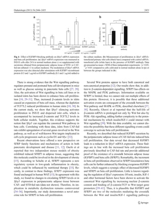 There is strong evidence that the Wnt signalling pathway
regulates prenatal and postnatal beta cell development in mice
as well as glucose sensing in pancreatic beta cells [27, 28].
Also, the activation of Wnt signalling in beta cell lines or in
isolated islets has been shown to enhance beta cell prolifera-
tion [10, 29–31]. Thus, increased β-catenin levels in islets
caused an expansion of beta cell mass, whereas the depletion
of TCF7L2 reduced proliferation in human islets [10, 30]. In
the current study, we show that Sfrp5 silencing activates
proliferation in INS1E and dispersed islet cells, which is
accompanied by increased β-catenin and TCF7L2 levels in
both cellular models. Together, this evidence supports the
notion that Sfrp5 can regulate the canonical Wnt pathway in
beta cells. Correlating with these data, islets from CAF-fed
rats exhibit upregulation of several genes involved in the Wnt
pathway, as well as of well-known Wnt targets implicated in
cell cycle progression such as cyclin D1 and Myc [32].
Recent observations have offered a new perspective on
SFRP family functions and mechanisms of action in both
pancreatic development and disease [11, 12]. Ouchi et al
reported that two independent mouse models of obesity
exhibited reduced SFRP5 in adipose tissue, suggesting that
this molecule could be involved in the development of obesity
[15]. According to Schulte et al, SFRP5 represents a new
regulatory system in low-grade inflammation in obesity,
which could be influenced by nutritional therapy [33]. Re-
cently, in contrast to these findings, SFRP5 expression was
found unchanged in human WAT [13]. In agreement with this
study, we found no changes in circulating SFRP5 levels or in
Sfrp5 expression in peripancreatic adipose tissue between
CAF- and STD-fed rats (data not shown). Therefore, its im-
plication in metabolic dysfunction remains controversial
[34–36]. Importantly, our study demonstrates a novel auto-
crine role for SFRP5 in beta cell proliferation.
Several Wnt proteins appear to have both canonical and
non-canonical properties [12]. Our results show that, in addi-
tion to β-catenin-dependent signalling, SFRP5 has effects on
the MAPK and PI3K pathways. Information available on
SFRP5 is limited, thus we cannot rule out multiple effects of
this protein. However, it is possible that these additional
activation events are consequent of the crosstalk between the
Wnt pathway and MAPK or PI3K, described elsewhere [37,
38]. Recently, Gherzi et al reported that the half-life of
β-catenin mRNA is prolonged not only by Wnt but also by
PI3K–Akt signalling, adding further complexity to the poten-
tial mechanisms by which insulin/IGF-1 could interact with
Wnt signalling [39]. With the data available, we cannot dis-
miss the possibility that these different signalling events could
converge to activate beta cell proliferation.
Recently, we described that reduced IGFBP3 secretion by
the peripancreatic adipose tissue of CAF-fed rats induced beta
cell proliferation. Our data reveal that decreased IGFBP3
leads to a reduction in Sfrp5 mRNA expression. These find-
ings are in line with the increased beta cell proliferation
previously described in CAF-fed rats and provide additional
proof of the existence of a crosstalk between adipose tissue
(IGFBP3) and beta cells (SFRP5). Remarkably, the increment
in beta cell proliferation observed in SFRP5-knockdown beta
cells can be further enhanced by blocking exogenous IGFBP3
levels, which suggests a synergic effect of decreased IGFBP3
and SFRP5 on beta cell proliferation. Little is known regard-
ing the regulation of Sfrp5 expression. Of note, insulin, IGF-1
and other hormonal factors have been shown to activate the
canonical Wnt signalling by increasing nuclear β-catenin
content and binding of β-catenin/TCF to Wnt target gene
promoters [39–41]. Thus, it is plausible that IGFBP3 and
SFRP5 are two of the molecules mediating the crosstalk
between the Wnt and insulin/IGF-1 signalling pathways
-
Sfrp5mRNA(fold)
a
3.5
3.0
2.5
2.0
1.5
1.0
0.5
0
(0.5 µg/ml) (1 µg/ml) (0.1 µg/ml) (1 µg/ml)
**
*
*
*
**
b
protein
IGFBP3 antibodyCAF
Secretome
STD
**
*
0
40
80
120
160
200
IgG
Proliferation(%)
**
IGFBP3
antibody
IGFBP3 recombinant
**
Fig. 6 Effect of IGFBP3-blocking antibody on Sfrp5 mRNA expression
and beta cell proliferation. (a) Sfrp5 mRNA expression was measured in
INS1E cells after 24 h in normal medium alone (-) or supplemented with
secretome obtained from peripancreatic adipose tissue of STD- or CAF-
fed rats (diluted 1:3 in culture medium). The modulation of Sfrp5 mRNA
expression was also detected after stimulation with IGFBP3 recombinant
protein (0.5 and 1 μg/ml) or IGFBP3 antibody (0.1 and 1 μg/ml) added to
the culture medium. (b) Measurement of proliferation in Sfrp5 siRNA-
transfected primary islet cells (black bars) compared with control siRNA-
transfected cells (white bars) in the presence of IGFBP3 antibody. Data
are presented as mean ± SEM of three independent experiments. *
p<0.05,
**
p<0.01 compared to cells cultivated in normal medium alone in (a) or
between the groups indicated in (b)
Diabetologia (2013) 56:2446–2455 2453
 