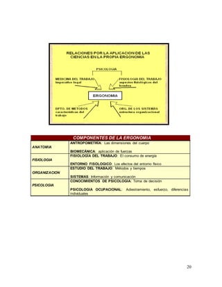 20
COMPONENTES DE LA ERGONOMIA
ANATOMIA
ANTROPOMETRÍA: Las dimensiones del cuerpo
BIOMECÁNICA: aplicación de fuerzas
FISIOLOGIA
FISIOLOGÍA DEL TRABAJO: El consumo de energía
ENTORNO FISOLOGICO: Los efectos del entorno físico
ORGANIZACION
ESTUDIO DEL TRABAJO: Métodos y tiempos
SISTEMAS: Información y comunicación
PSICOLOGIA
CONOCIMIENTOS DE PSICOLOGIA: Toma de decisión
PSICOLOGIA OCUPACIONAL: Adiestramiento, esfuerzo, diferencias
individuales
 