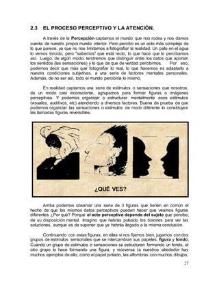 27
2.3 EL PROCESO PERCEPTIVO Y LA ATENCIÓN.
A través de la Percepción captamos el mundo que nos rodea y nos damos
cuenta de nuestro propio mundo interior. Pero percibir es un acto más complejo de
lo que parece, ya que no nos limitamos a fotografiar la realidad. Un palo en el agua
lo vemos torcido, pero "sabemos" que está recto, lo que hace que lo percibamos
así. Luego, de algún modo, tendremos que distinguir entre los datos que aportan
los sentidos (las sensaciones) y lo que de que de verdad percibimos. Por eso,
podemos decir que más que fotografiar lo real, lo que hacemos es adaptarlo a
nuestra condiciones subjetivas, a una serie de factores mentales personales.
Además, de no ser así, todo el mundo percibiría lo mismo.
En realidad captamos una serie de estímulos o sensaciones que nosotros,
de un modo casi inconsciente, agrupamos para formar figuras o imágenes
perceptivas. Y podemos organizar o estructurar mentalmente esos estímulos
(visuales, auditivos, etc) atendiendo a diversos factores. Buena de prueba de que
podemos organizar las sensaciones o estímulos de modo diferente lo constituyen
las llamadas figuras reversibles.
Arriba podemos observar una serie de 3 figuras que tienen en común el
hecho de que los mismos datos perceptivos pueden hacer que veamos figuras
diferentes ¿Por qué? Porque el acto perceptivo depende del sujeto que percibe,
de su disposición mental. Imagino que habrás pulsado los botones para ver las
soluciones, aunque es de suponer que ya habrás llegado a la misma conclusión.
Continuando con estas figuras, en ellas si nos fijamos bien, jugamos con dos
grupos de estímulos sensoriales que se intercambian sus papeles, figura y fondo.
Cuando un grupo de estímulos o sensaciones se estructuran formando un fondo, el
otro grupo lo hace formando una figura, y viceversa (a nuestros alrededor hay
muchos ejemplos de ello, como el papel pintado, las alfombras con muchos dibujos,
¿QUÉ VES?
 