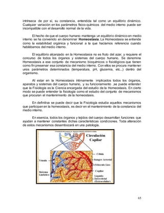 65
intrínseca de por sí, su constancia, entendida tal como un equilibrio dinámico.
Cualquier variación en los parámetros físico-químicos del medio interno puede ser
incompatible con el desarrollo normal de la vida.
El hecho de que el cuerpo humano mantenga un equilibrio dinámico en medio
interno se ha convenido en denominar Homeostasia. La Homeostasia se entiende
como la estabilidad orgánica y funcional a la que hacíamos referencia cuando
hablábamos del medio interno.
El equilibrio alcanzado en la Homeostasia no es fruto del azar, y requiere el
concurso de todos los órganos y sistemas del cuerpo humano. Se denomina
Homeostasis a ese conjunto de mecanismo bioquímicos o fisiológicos que tienen
como fin preservar esa constancia del medio interno. Con ellos se procura mantener
unos parámetros determinados (temperatura, pH, glucemia, etc...) dentro del
organismo.
Al estar en la Homeostasis íntimamente implicados todos los órganos,
aparatos y sistemas del cuerpo humano, y su funcionamiento ,se puede entender
que la Fisiología es la Ciencia encargada del estudio de la Homeostasis. En cierto
modo se puede entender la fisiología como el estudio del conjunto de mecanismos
que procuran el mantenimiento de la homeostasis.
En definitiva se puede decir que la Fisiología estudia aquellos mecanismos
que participan en la homeostasis, es decir en el mantenimiento de la constancia del
medio interno.
En esencia, todos los órganos y tejidos del cuerpo desarrollan funciones que
ayudan a mantener constantes dichas características condiciones. Toda alteración
de estos mecanismos desembocará en una patología.
 
