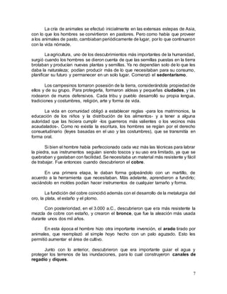 7
La cría de animales se efectuó inicialmente en las extensas estepas de Asia,
con lo que los hombres se convirtieron en pastores. Pero como había que proveer
a los animales de pasto, cambiaban periódicamente de lugar, por lo que continuaron
con la vida nómade.
La agricultura, uno de los descubrimientos más importantes de la humanidad,
surgió cuando los hombres se dieron cuenta de que las semillas puestas en la tierra
brotaban y producían nuevas plantas y semillas. Ya no dependían solo de lo que les
daba la naturaleza; podían producir más de lo que necesitaban para su consumo,
planificar su futuro y permanecer en un solo lugar. Comenzó el sedentarismo.
Los campesinos tomaron posesión de la tierra, considerándola propiedad de
ellos y de su grupo. Para protegerla, formaron aldeas y pequeñas ciudades, y las
rodearon de muros defensivos. Cada tribu y pueblo desarrolló su propia lengua,
tradiciones y costumbres, religión, arte y forma de vida.
La vida en comunidad obligó a establecer reglas -para los matrimonios, la
educación de los niños y la distribución de los alimentos- y a tener a alguna
autoridad que las hiciera cumplir -los guerreros más valientes o los vecinos más
acaudalados-. Como no existía la escritura, los hombres se regían por el derecho
consuetudinario (leyes basadas en el uso y las costumbres), que se transmitía en
forma oral.
Si bien el hombre había perfeccionado cada vez más las técnicas para labrar
la piedra, sus instrumentos seguían siendo toscos y su uso era limitado, ya que se
quebraban y gastaban con facilidad. Se necesitaba un material más resistente y fácil
de trabajar. Fue entonces cuando descubrieron el cobre.
En una primera etapa, le daban forma golpeándolo con un martillo, de
acuerdo a la herramienta que necesitaban. Más adelante, aprendieron a fundirlo;
vaciándolo en moldes podían hacer instrumentos de cualquier tamaño y forma.
La fundición del cobre coincidió además con el desarrollo de la metalurgia del
oro, la plata, el estaño y el plomo.
Con posterioridad, en el 3.000 a.C., descubrieron que era más resistente la
mezcla de cobre con estaño, y crearon el bronce, que fue la aleación más usada
durante unos dos mil años.
En esta época el hombre hizo otra importante invención, el arado tirado por
animales, que reemplazó al simple hoyo hecho con un palo aguzado. Esto les
permitió aumentar el área de cultivo.
Junto con lo anterior, descubrieron que era importante guiar el agua y
proteger los terrenos de las inundaciones, para lo cual construyeron canales de
regadío y diques.
 
