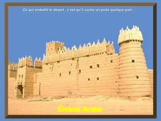 Émirat Arabe  Ce qui embellit le désert , c’est qu’il cache un puits quelque part. 