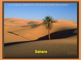 Sahara Le courage de la goutte d’eau, c’est qu’elle ose tomber dans le désert. 