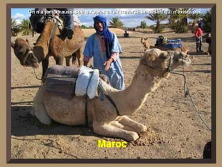 Maroc On n’a jamais aussi soif qu’après avoir traversé un désert qui n’existe pas. 