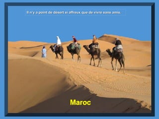 Maroc Il n’y a point de désert si affreux que de vivre sans amis. 