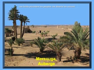 Merzouga, Auberge Les forêts précèdent les peuples, les déserts les suivent. 