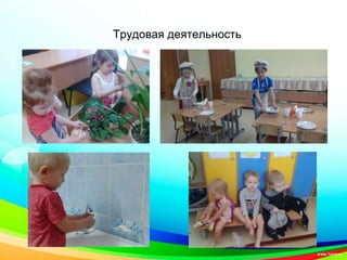 Трудовая деятельность
 