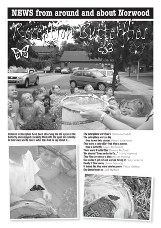 NEWS from around and about Norwood

   Reception Butterflies



Children in Reception have been observing the life cycle of the    The caterpillars were hairy (Rebecca Kilduff)
butterfly and enjoyed releasing them into the open air recently.   The caterpillars were so big
In their own words here’s what they had to say about it…              they turned into cocoons (Henry Watkinson)
                                                                   They were a caterpillar first, then a cocoon,
                                                                      then a butterfly (Owen McKenzie)
                                                                   There were 9 butterflies (Brooke McFord)
                                                                   We shouted “Come on butterfly…” (Harry Hopkins)
                                                                   They flew out one at a time (Nicole Helsby)
                                                                   One couldn’t get out and we had to help it (Toby Vickers)
                                                                   Finally it flew away (Arran Peacock)
                                                                   It looked like they were blowing away (Pascal Saleta)
                                                                   One landed near us (Jack Barton)
 