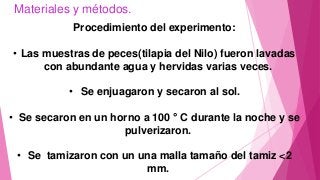 Materiales y métodos.
Procedimiento del experimento:
• Las muestras de peces(tilapia del Nilo) fueron lavadas
con abundante agua y hervidas varias veces.
• Se enjuagaron y secaron al sol.
• Se secaron en un horno a 100 ° C durante la noche y se
pulverizaron.
• Se tamizaron con un una malla tamaño del tamiz <2
mm.
 
