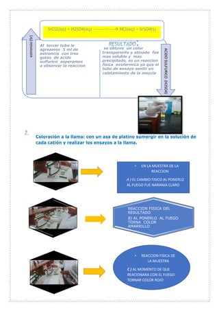 Al tercer tubo le
agreamos 5 ml de
estroncio con tres
gotas de acido
sulfurico esperamos
a observar la reaccion
se obtuvo un color
transparente y atinado fue
mas soluble y mas
precipitado, es un reaccion
fisica exotermica ya que el
tubo de ensayo sentir un
caletamiento de la mezcla
estronsio
(Sr)
ACIDO
SULFURICO
(H2SO4)
REACCION FISICA DEL
RESULTADO
B) AL PONERLO AL FUEGO
TORNA COLOR
AMARRILLO
Coloración a la llama: con un asa de platino sumergir en la solución de
cada catión y realizar los ensayos a la llama.
SrCl2(aq) + H2SO4(aq) ------------- HCl(aq) + SrSO4(s)
• EN LA MUESTRA DE LA
REACCION
A ) EL CAMBIO FISICO AL PONERLO
AL FUEGO FUE NARANJA CLARO
• REACCION FISICA DE
LA MUESTRA
C ) AL MOMENTO DE QUE
REACIONARA CON EL FUEGO
TORNAR COLOR ROJO
INTENSO
 