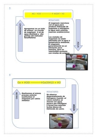 Agregamos en un tubo
de ensayo un trocido
de magnesio 2 ml de
agua destilada y dos
gotitas del indicador
fenolftaleina
RESULTADO:
El magnesio reacciona
con el agua para
producir hidróxido de
magnesio e hidrógeno.
el agua está caliente,
reaccion endoterminca
Los metales de
magnesio no están
afectados por el agua a
temperatura ambiente.
El magnesio
generalmente es un
elemento poco
reactivo, pero su
reactividad aumenta
con niveles de oxígeno
MAGNESIO
AGUA
Realizamos el mismo
proceso anterior
sustituimos el
magnesio por calcio
metalico
RESULTADOS:
Se observo
desprendimiento de
hidrogeno Cuando .el
calcio metalico se
mezcla con agua,
genera gas hidrógeno
y forma una solución
turbia blanca de
hidróxido de calcio.
CALCIO
AGUA
MG + H2O -------------- MGOH + H2
Ca + H2O ---------Ca(OH)2 + H2
 