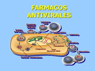 FARMACOS
ANTIVIRALES
 