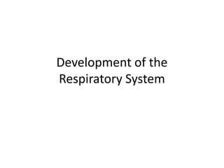 Development of the 
Respiratory System 
 