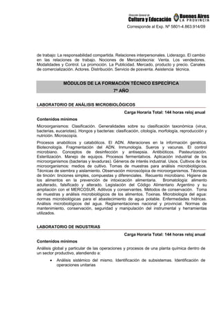 Corresponde al Exp. Nº 5801-4.863.914/09
de trabajo: La responsabilidad compartida. Relaciones interpersonales. Liderazgo. El cambio
en las relaciones de trabajo. Nociones de Mercadotecnia: Venta. Los vendedores.
Modalidades y Control. La promoción. La Publicidad. Mercado, producto y precio. Canales
de comercialización. Actores. Distribución. Servicio de posventa. Asistencia técnica.
MÓDULOS DE LA FORMACIÓN TÉCNICO ESPECÍFICA
7º AÑO
LABORATORIO DE ANÁLISIS MICROBIOLÓGICOS
Carga Horaria Total: 144 horas reloj anual
Contenidos mínimos
Microorganismos: Clasificación. Generalidades sobre su clasificación taxonómica (virus,
bacterias, eucariotas). Hongos y bacterias: clasificación, citología, morfología, reproducción y
nutrición. Microscopía.
Procesos anabólicos y catabólicos. El ADN. Alteraciones en la información genética.
Biotecnología. Fragmentación del ADN. Inmunología. Sueros y vacunas. El control
microbiano. Conceptos de desinfección y antisepsia. Antibióticos. Pasteurización.
Esterilización. Manejo de equipos. Procesos fermentativos. Aplicación industrial de los
microorganismos (bacterias y levaduras). Géneros de interés industrial. Usos. Cultivos de los
microorganismos: medios de cultivo. Tomas de muestras para análisis microbiológicos.
Técnicas de siembra y aislamiento. Observación microscópica de microorganismos. Técnicas
de tinción: tinciones simples, compuestas y diferenciales. Recuento microbiano. Higiene de
los alimentos en la prevención de intoxicación alimentaria. Bromatología: alimento
adulterado, falsificado y alterado. Legislación del Código Alimentario Argentino y su
ampliación con el MERCOSUR. Aditivos y conservantes. Métodos de conservación. Toma
de muestras y análisis microbiológicos de los alimentos. Toxinas. Microbiología del agua:
normas microbiológicas para el abastecimiento de agua potable. Enfermedades hídricas.
Análisis microbiológicos del agua. Reglamentaciones nacional y provincial. Normas de
mantenimiento, conservación, seguridad y manipulación del instrumental y herramientas
utilizados.
LABORATORIO DE INDUSTRIAS
Carga Horaria Total: 144 horas reloj anual
Contenidos mínimos
Análisis global y particular de las operaciones y procesos de una planta química dentro de
un sector productivo, atendiendo a:
• Análisis sistémico del mismo. Identificación de subsistemas. Identificación de
operaciones unitarias
 