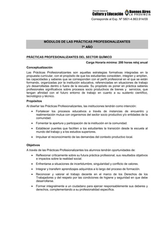 Corresponde al Exp. Nº 5801-4.863.914/09
MÓDULOS DE LAS PRÁCTICAS PROFESIONALIZANTES
7º AÑO
PRÁCTICAS PROFESIONALIZANTES DEL SECTOR QUÍMICO
Carga Horaria mínima: 200 horas reloj anual
Conceptualización
Las Prácticas Profesionalizantes son aquellas estrategias formativas integradas en la
propuesta curricular, con el propósito de que los estudiantes consoliden, integren y amplíen,
las capacidades y saberes que se corresponden con el perfil profesional en el que se están
formando, organizadas por la institución educativa, referenciadas en situaciones de trabajo
y/o desarrolladas dentro o fuera de la escuela. Su propósito es poner en práctica saberes
profesionales significativos sobre procesos socio productivos de bienes y servicios, que
tengan afinidad con el futuro entorno de trabajo en cuanto a su sustento científico,
tecnológico y técnico.
Propósitos
Al diseñar las Prácticas Profesionalizantes, las instituciones tendrán como intención:
• Fortalecer los procesos educativos a través de instancias de encuentro y
realimentación mutua con organismos del sector socio productivo y/o entidades de la
comunidad.
• Fomentar la apertura y participación de la institución en la comunidad.
• Establecer puentes que faciliten a los estudiantes la transición desde la escuela al
mundo del trabajo y a los estudios superiores.
• Impulsar el reconocimiento de las demandas del contexto productivo local.
Objetivos
A través de las Prácticas Profesionalizantes los alumnos tendrán oportunidades de:
• Reflexionar críticamente sobre su futura práctica profesional, sus resultados objetivos
e impactos sobre la realidad social.
• Enfrentarse a situaciones de incertidumbre, singularidad y conflicto de valores.
• Integrar y transferir aprendizajes adquiridos a lo largo del proceso de formación.
• Reconocer y valorar el trabajo decente en el marco de los Derechos de los
Trabajadores y del respeto por las condiciones de higiene y seguridad en que debe
desarrollarse.
• Formar integralmente a un ciudadano para ejercer responsablemente sus deberes y
derechos, complementando a su profesionalidad específica.
 