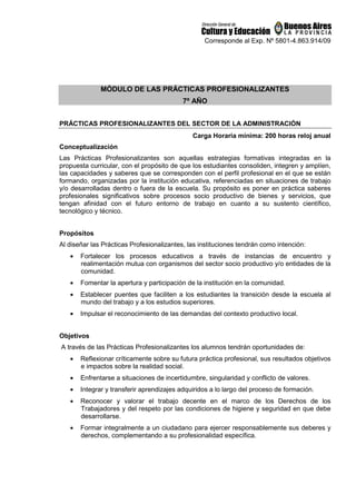 Corresponde al Exp. Nº 5801-4.863.914/09
MÓDULO DE LAS PRÁCTICAS PROFESIONALIZANTES
7º AÑO
PRÁCTICAS PROFESIONALIZANTES DEL SECTOR DE LA ADMINISTRACIÓN
Carga Horaria mínima: 200 horas reloj anual
Conceptualización
Las Prácticas Profesionalizantes son aquellas estrategias formativas integradas en la
propuesta curricular, con el propósito de que los estudiantes consoliden, integren y amplíen,
las capacidades y saberes que se corresponden con el perfil profesional en el que se están
formando, organizadas por la institución educativa, referenciadas en situaciones de trabajo
y/o desarrolladas dentro o fuera de la escuela. Su propósito es poner en práctica saberes
profesionales significativos sobre procesos socio productivo de bienes y servicios, que
tengan afinidad con el futuro entorno de trabajo en cuanto a su sustento científico,
tecnológico y técnico.
Propósitos
Al diseñar las Prácticas Profesionalizantes, las instituciones tendrán como intención:
• Fortalecer los procesos educativos a través de instancias de encuentro y
realimentación mutua con organismos del sector socio productivo y/o entidades de la
comunidad.
• Fomentar la apertura y participación de la institución en la comunidad.
• Establecer puentes que faciliten a los estudiantes la transición desde la escuela al
mundo del trabajo y a los estudios superiores.
• Impulsar el reconocimiento de las demandas del contexto productivo local.
Objetivos
A través de las Prácticas Profesionalizantes los alumnos tendrán oportunidades de:
• Reflexionar críticamente sobre su futura práctica profesional, sus resultados objetivos
e impactos sobre la realidad social.
• Enfrentarse a situaciones de incertidumbre, singularidad y conflicto de valores.
• Integrar y transferir aprendizajes adquiridos a lo largo del proceso de formación.
• Reconocer y valorar el trabajo decente en el marco de los Derechos de los
Trabajadores y del respeto por las condiciones de higiene y seguridad en que debe
desarrollarse.
• Formar integralmente a un ciudadano para ejercer responsablemente sus deberes y
derechos, complementando a su profesionalidad específica.
 
