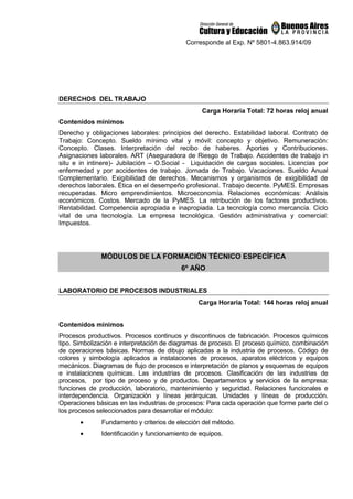 Corresponde al Exp. Nº 5801-4.863.914/09
DERECHOS DEL TRABAJO
Carga Horaria Total: 72 horas reloj anual
Contenidos mínimos
Derecho y obligaciones laborales: principios del derecho. Estabilidad laboral. Contrato de
Trabajo: Concepto. Sueldo mínimo vital y móvil: concepto y objetivo. Remuneración:
Concepto. Clases. Interpretación del recibo de haberes. Aportes y Contribuciones.
Asignaciones laborales. ART (Aseguradora de Riesgo de Trabajo. Accidentes de trabajo in
situ e in intinere)- Jubilación – O.Social - Liquidación de cargas sociales. Licencias por
enfermedad y por accidentes de trabajo. Jornada de Trabajo. Vacaciones. Sueldo Anual
Complementario. Exigibilidad de derechos. Mecanismos y organismos de exigibilidad de
derechos laborales. Ética en el desempeño profesional. Trabajo decente. PyMES. Empresas
recuperadas. Micro emprendimientos. Microeconomía. Relaciones económicas: Análisis
económicos. Costos. Mercado de la PyMES. La retribución de los factores productivos.
Rentabilidad. Competencia apropiada e inapropiada. La tecnología como mercancía. Ciclo
vital de una tecnología. La empresa tecnológica. Gestión administrativa y comercial:
Impuestos.
MÓDULOS DE LA FORMACIÓN TÉCNICO ESPECÍFICA
6º AÑO
LABORATORIO DE PROCESOS INDUSTRIALES
Carga Horaria Total: 144 horas reloj anual
Contenidos mínimos
Procesos productivos. Procesos continuos y discontinuos de fabricación. Procesos químicos
tipo. Simbolización e interpretación de diagramas de proceso. El proceso químico, combinación
de operaciones básicas. Normas de dibujo aplicadas a la industria de procesos. Código de
colores y simbología aplicados a instalaciones de procesos, aparatos eléctricos y equipos
mecánicos. Diagramas de flujo de procesos e interpretación de planos y esquemas de equipos
e instalaciones químicas. Las industrias de procesos. Clasificación de las industrias de
procesos, por tipo de proceso y de productos. Departamentos y servicios de la empresa:
funciones de producción, laboratorio, mantenimiento y seguridad. Relaciones funcionales e
interdependencia. Organización y líneas jerárquicas. Unidades y líneas de producción.
Operaciones básicas en las industrias de procesos: Para cada operación que forme parte del o
los procesos seleccionados para desarrollar el módulo:
• Fundamento y criterios de elección del método.
• Identificación y funcionamiento de equipos.
 