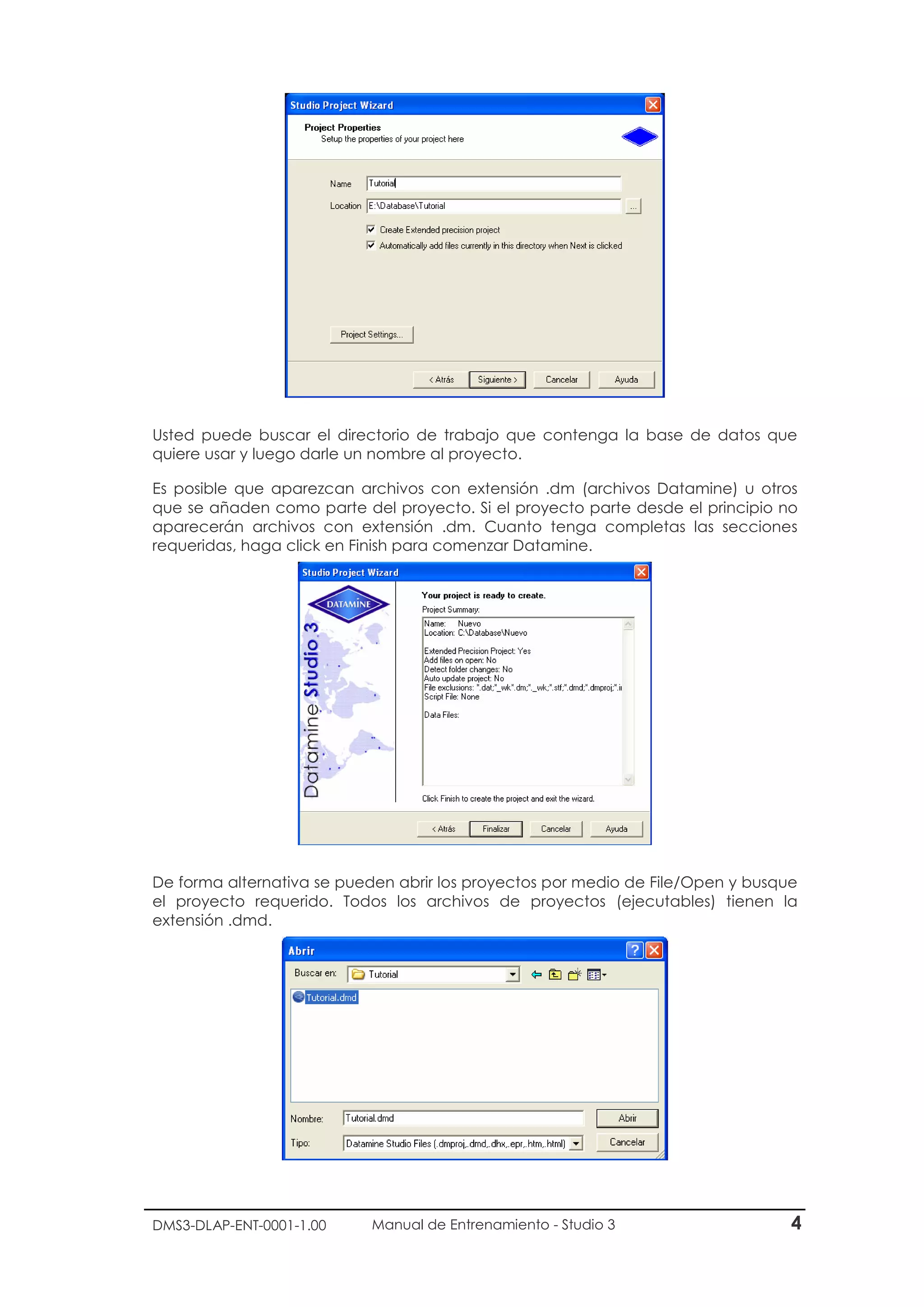 DMS3-DLAP-ENT-0001-1.00 Manual de Entrenamiento - Studio 3 4
Usted puede buscar el directorio de trabajo que contenga la base de datos que
quiere usar y luego darle un nombre al proyecto.
Es posible que aparezcan archivos con extensión .dm (archivos Datamine) u otros
que se añaden como parte del proyecto. Si el proyecto parte desde el principio no
aparecerán archivos con extensión .dm. Cuanto tenga completas las secciones
requeridas, haga click en Finish para comenzar Datamine.
De forma alternativa se pueden abrir los proyectos por medio de File/Open y busque
el proyecto requerido. Todos los archivos de proyectos (ejecutables) tienen la
extensión .dmd.
 