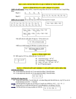 1
BÀI 1: GEN- MÃ DI TRUYỀN-VÀ QUÁ TRÌNH TỰ NHÂN ĐÔI ADN
DẠNG 1: TÍNH SỐ NU CỦA ADN ( HOẶC CỦA GEN )
1)Đối với mỗi mạch: Trong AND, 2 mạch bổ sung nhau nên số nu và chiều dài của 2 mạch bằng
nhau.
Mạch 1: A1 T1 G1 X1
Mạch 2:
T2 A2 X2 G2
2)Đối với cả 2 mạch: Số nu mỗi loại của AND là số nu loại đó ở 2 mạch.
+Do mỗi chu kì xoắn gồm 10 cặp nu = 20 nu nên ta có:
+Mỗi nu có khối lƣợng là 300 đơn vị cacbon nên ta có:
DẠNG 2: TÍNH CHIỀU DÀI
 Mỗi mạch có N/2 nu, chiều dài của 1 nu là 3,4 A0
.
DẠNG 3: TÍNH SỐ LIÊN KẾT HIDRO VÀ SỐ LIÊN KẾT CỘNG HÓA TRỊ
1)Số liên kết Hidro:
 A của mạch này liên kết với T của mạch kia bằng 2 liên kết hidro.
 G của mạch này liên kết với X của mạch kia bằng 3 liên kết hidro.
2)Số liên kết cộng hóa trị:
 Trong mỗi mạch đơn, 2 nu kế tiếp nối với nhau bằng một liên kết hóa trị, vậy N/2 nu sẽ có
số liên kết hóa trị là N/2 – 1 liên kết.
Số liên kết hóa trị giữa các nu trong cả 2 mạch của AND là: ( N/2 – 1 )2 = N – 2
 Trong mỗi nu có một liên kết hóa trị ở axit photphoric với đƣờng C5H10O4.
Số liên kết hóa trị trong cả phân tử AND là:
A1 = T2 ; T1 = A2 ; G1 = X2 ; X1 = G2
A = T = A1 + A2 = T1 + T2 = A1 + T1 = A2+ T2
G = X = G1 + G2 = X1 + X2 = G1 + X1 = G2 + X2
%A + %G = 50% = N/2
%A1 + %A2 = %T1 + %T2 = %A = %T
2 2
%G1 + %G2 = %X1 + % X2 = %G = %X
2 2
N = 20 x số chu kì xoắn
N = khối lƣợng phân tử AND
300
H = 2A + 3G
L = N x 3,4 A0
2
 1 micromet (µm) = 104
A0
.
 1 micromet = 106
nanomet (nm).
 1 mm = 103
µm = 106
nm = 107
A0
.
 1g=1012
pg (picrogam)
N – 2 + N = 2N – 2 .
 